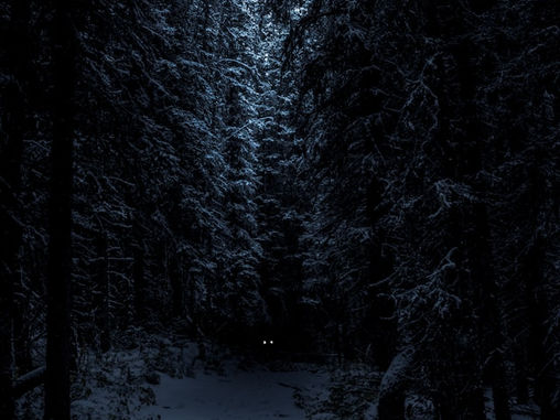 Paranormal News from the Paranormal Museum! 9 January, 2026