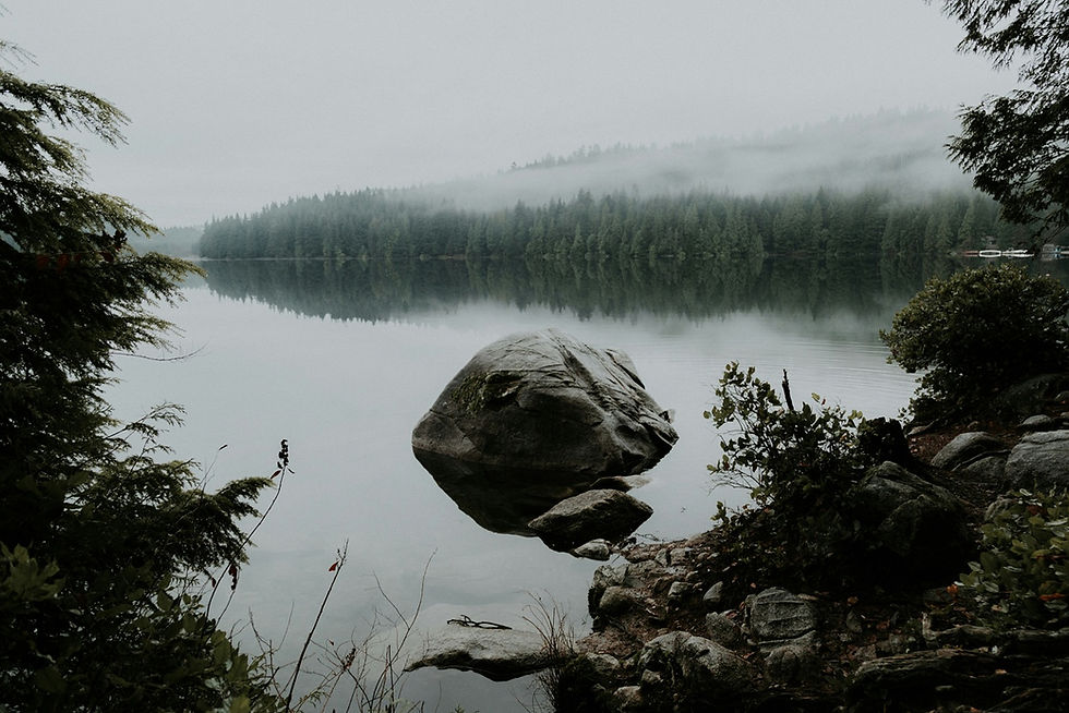 Stone in a lake that looks eerily like a lake monster, one of the topics from this paranormal museum blog!