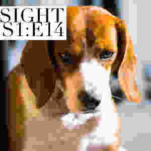 Sight - S1:E14 - Beagle