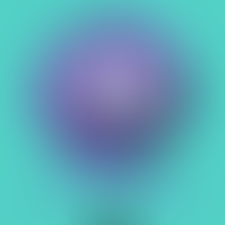 Post Triathlon Advice