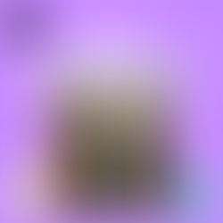 We've got the secret to be back performing at your best!  It's our Fortnightly SV Pulse!