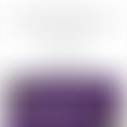 December 2018 Newsletter