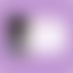 Another great client testimonial from a Nuclear Races Athlete