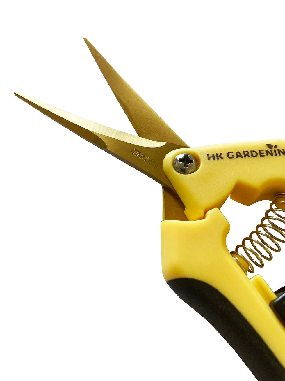 Thumbnail: Titanium Pruning Shears curved blade