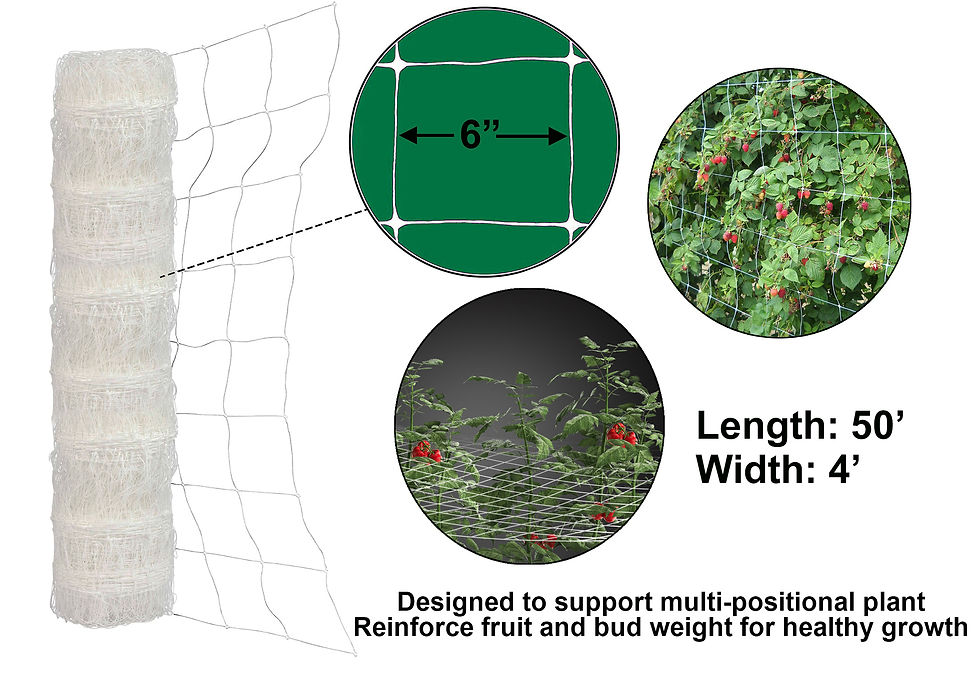 Thumbnail: 4'X50' Plastic Trellis