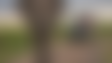 Como planejar um Safári em 5 passos. 