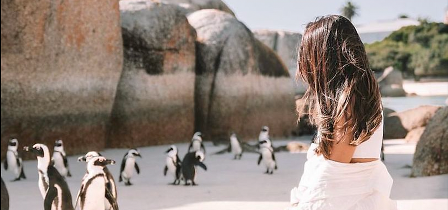 Screen Shot 2025-10-29 at 21.46.26.png