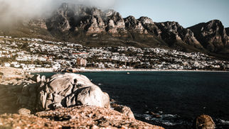 Por que a África do Sul é o melhor destino para se viajar depois da Pandemia?