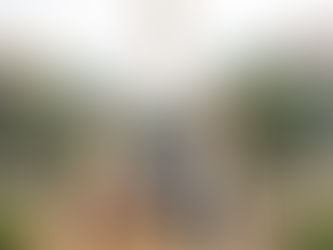 Sabrina's Senior Portrait at UT Austin