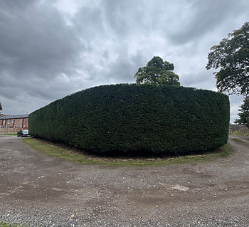 image2 (1).jpeg