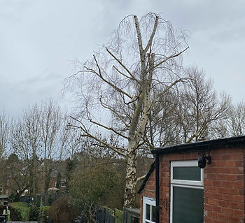 image1 (2).jpeg
