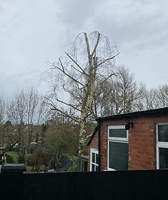 image1 (2).jpeg