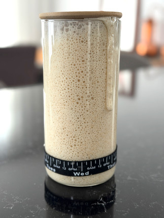 Levain de koji au pic d'activité après un rafraîchi.
