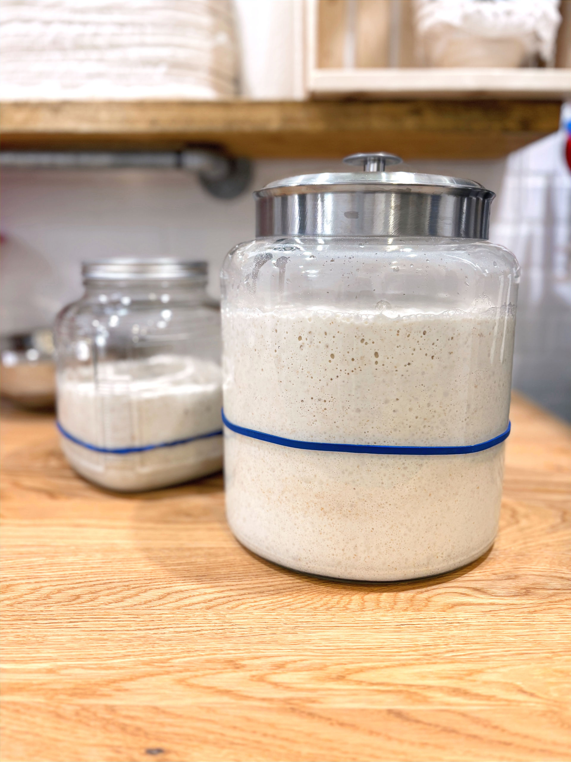 Levain naturel au pic d'activité après un rafraîchi.