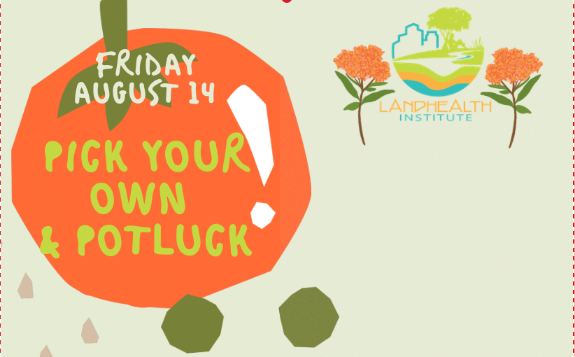 Pick your own & potluck!