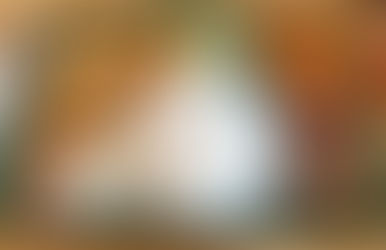 Review: Coconut Tree - BBOFH