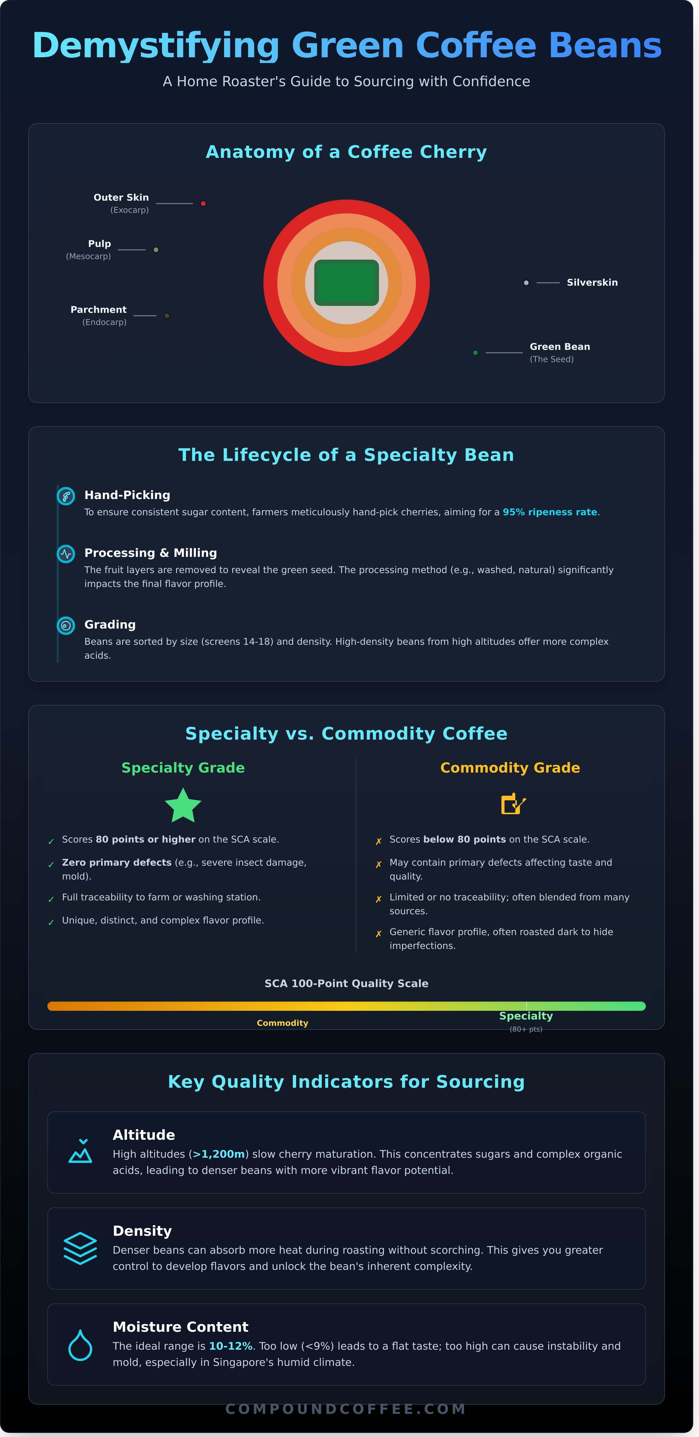 Green coffee beans infographic - visual guide