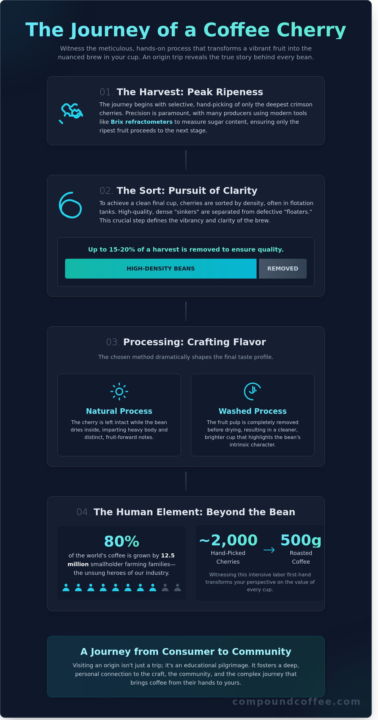 Coffee farm trips infographic - visual guide
