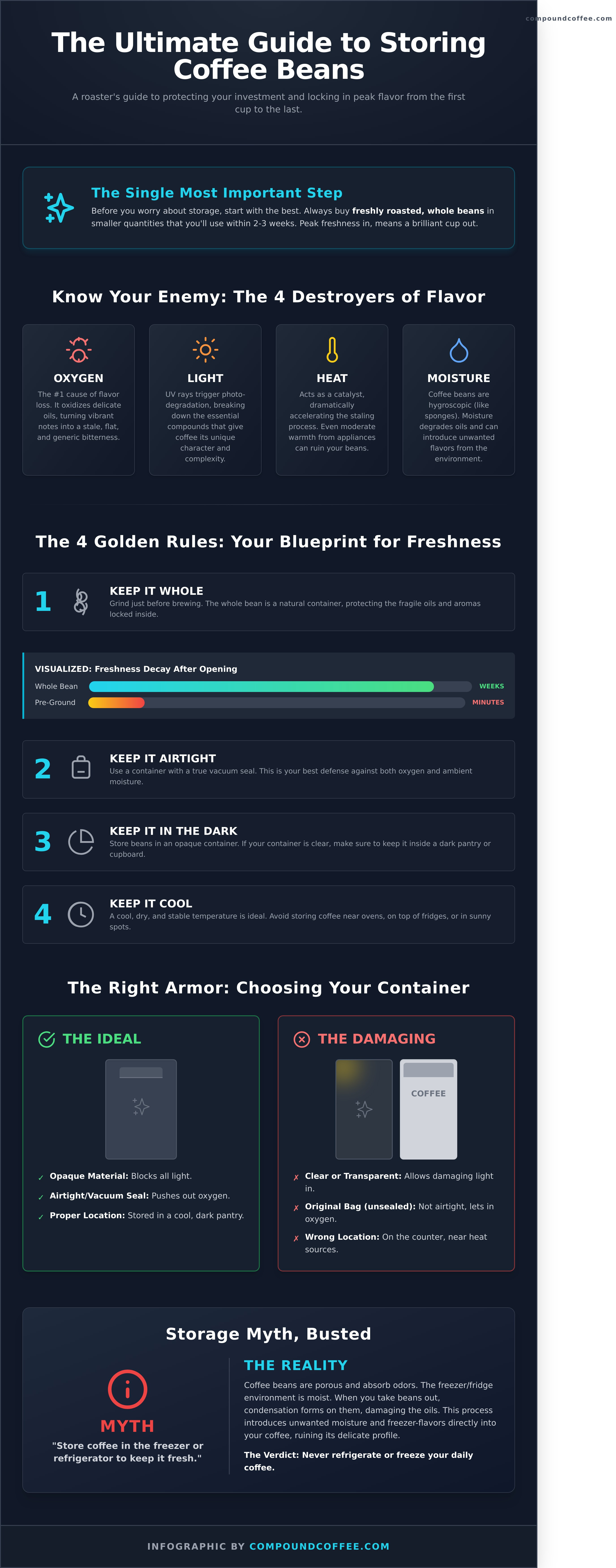 How to store coffee beans to keep them fresh infographic - visual guide