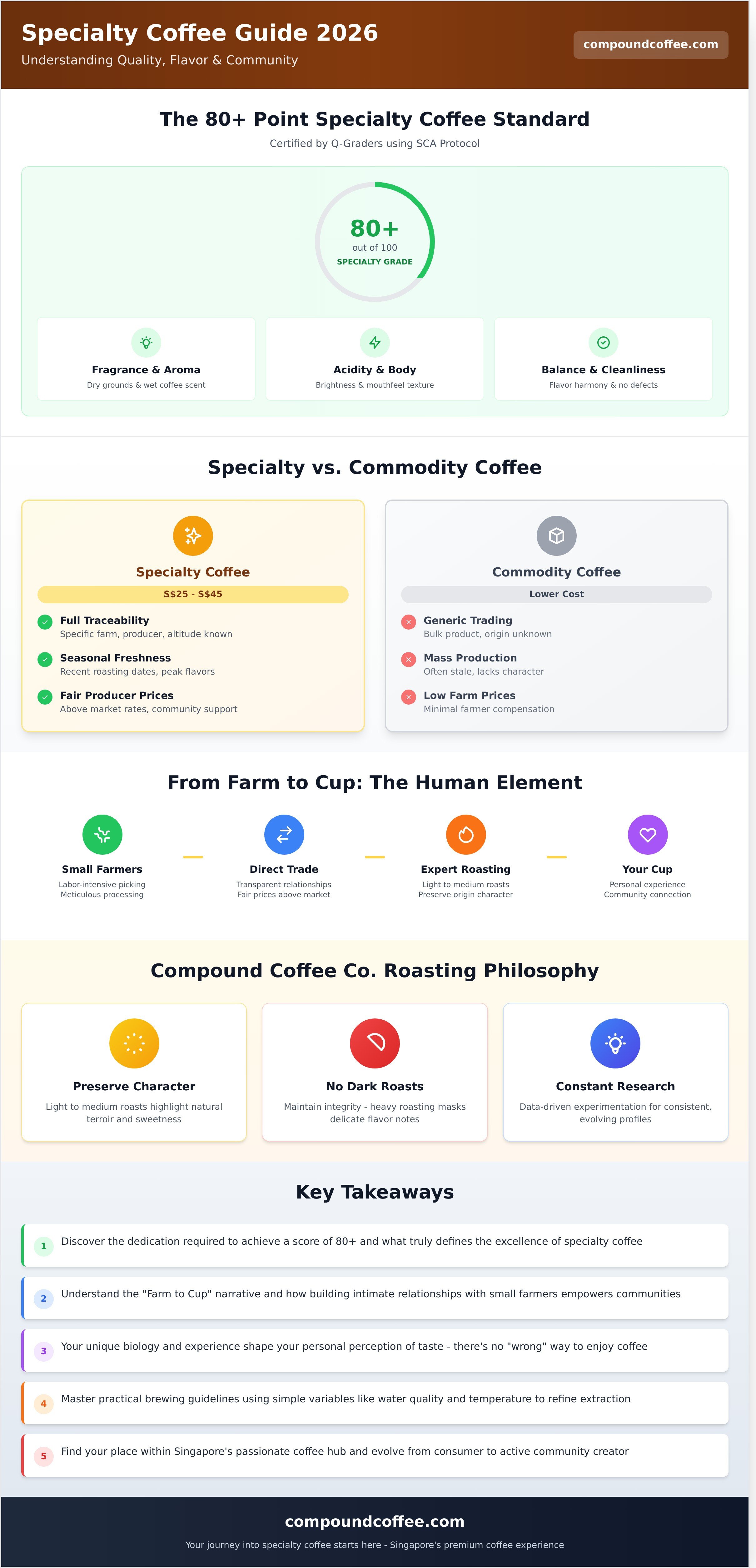 Specialty coffee infographic - visual guide