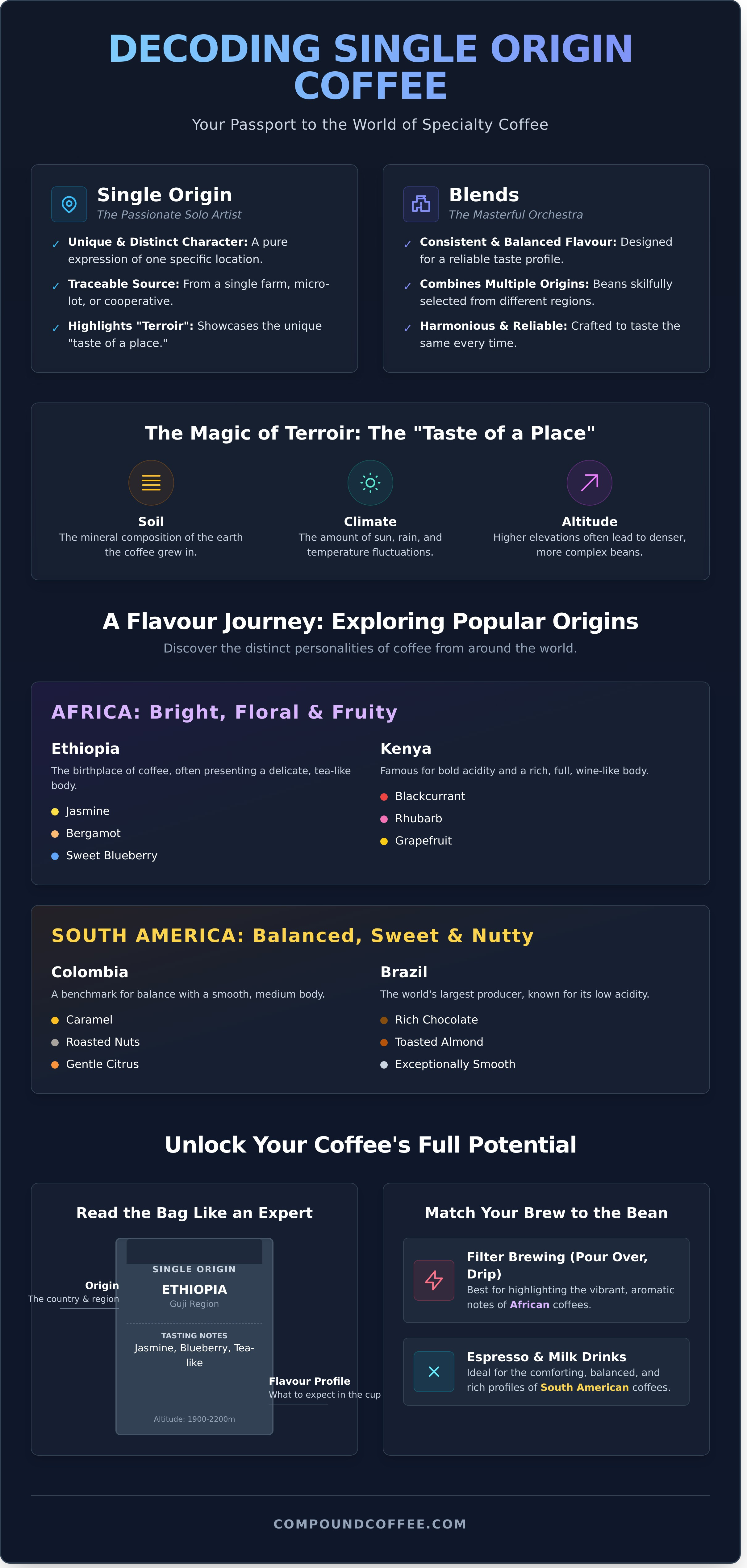Single origin coffee beans singapore infographic - visual guide