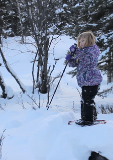 Snowshoeing in the Alaska Backcountry