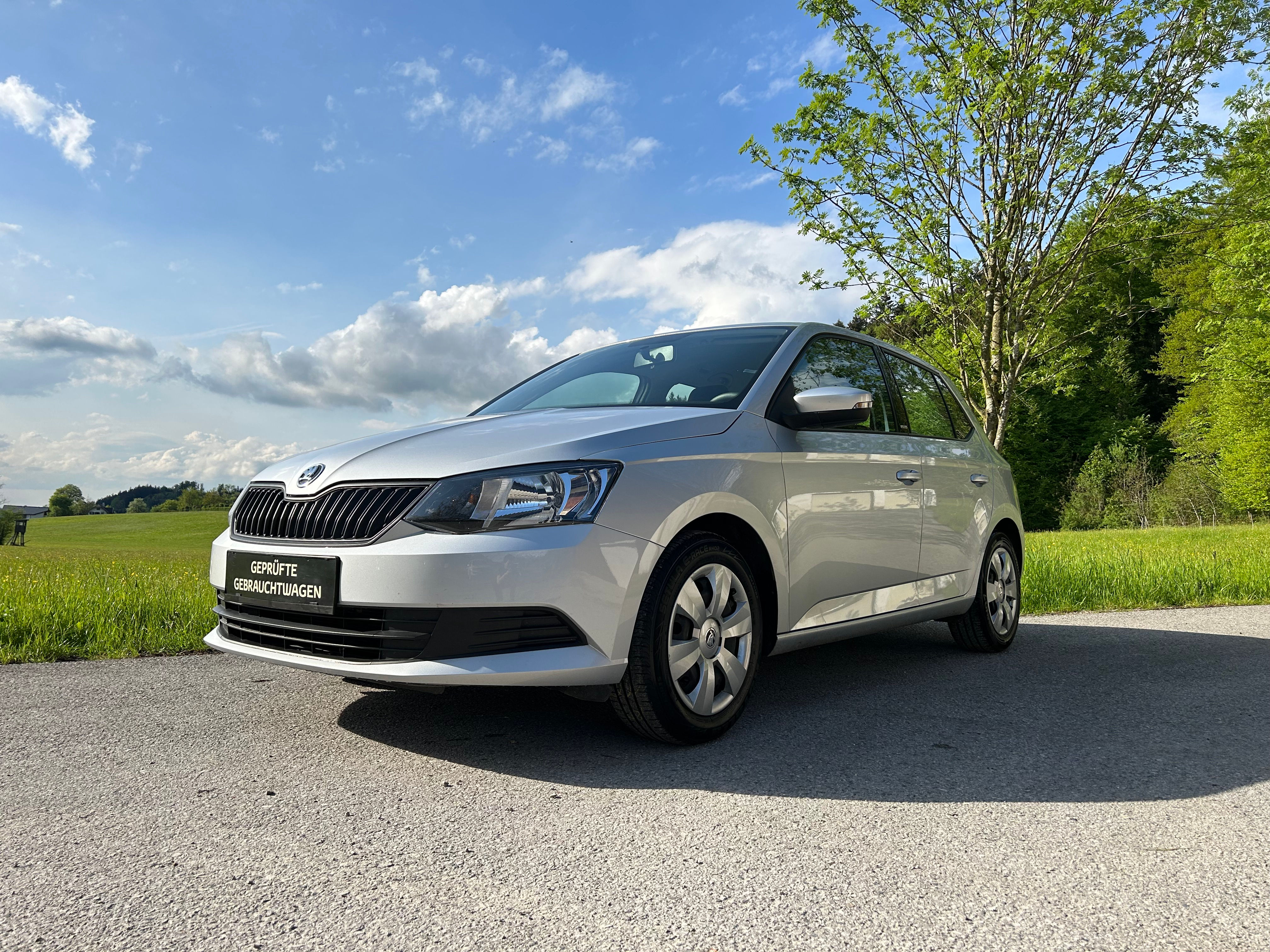 Skoda Fabia Joy ***VERKAUFT***