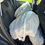Miniaturbild: PEUGEOT 208 Like 2018 ***VERKAUFT***