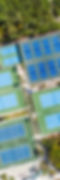 pickleball courts_edited.jpg