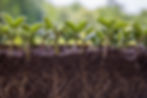 AdobeStock_518679747.jpeg