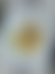 Blomkål- & kikärtssovulaki
