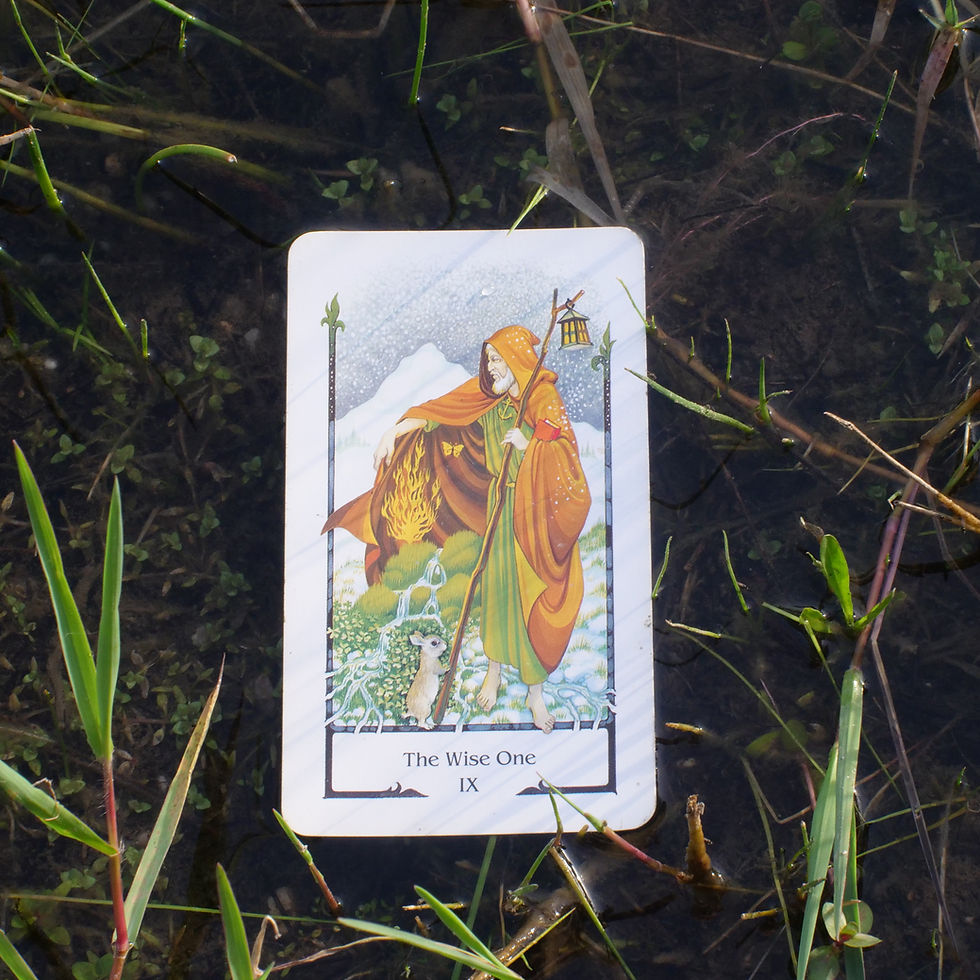 The Hermit is the 9th Major Arcana in the Tarot.