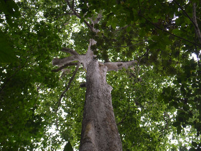 Wednesday, 12 November 2025 ✝