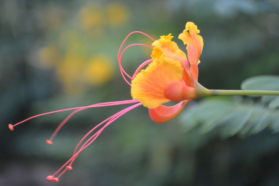 Friday, 7 November 2025 ✝