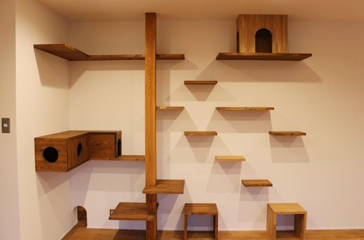Miniatura: Gimnasio de pared