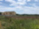 IMG_1708.jpeg