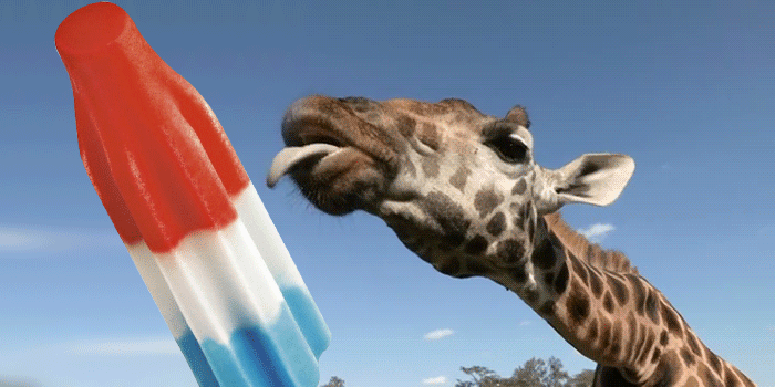 15-WE-1506-SOC2-giraffe-Twitter-animated.gif