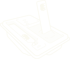 Asset 3.png