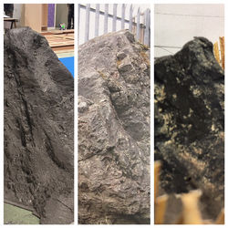 Sculpt-Reference -Model