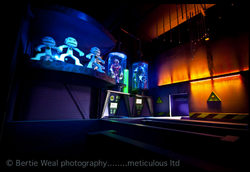 Screen Shot 2016-07-04 at 20.42.19