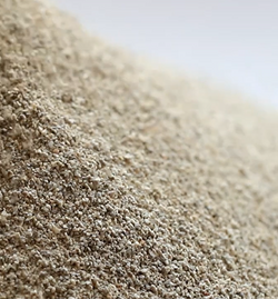 Still Shot of Comate loop