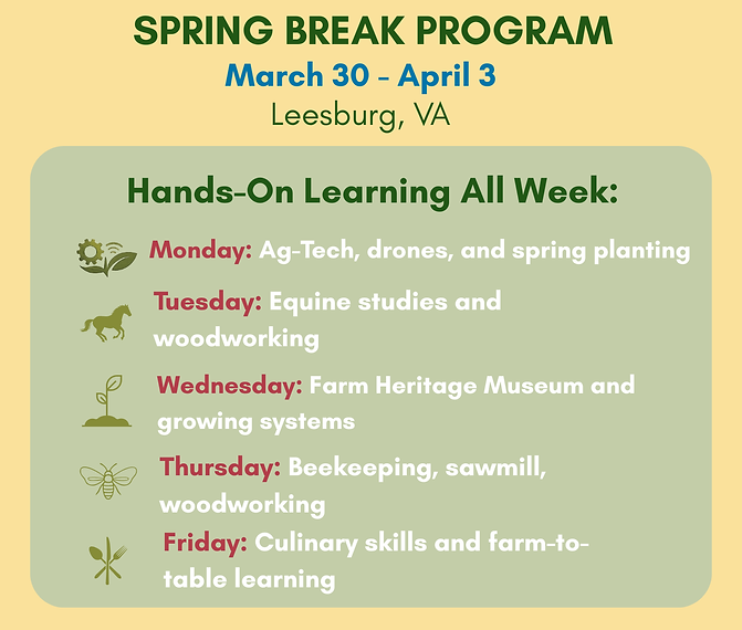 Spring Save the Date (4).png