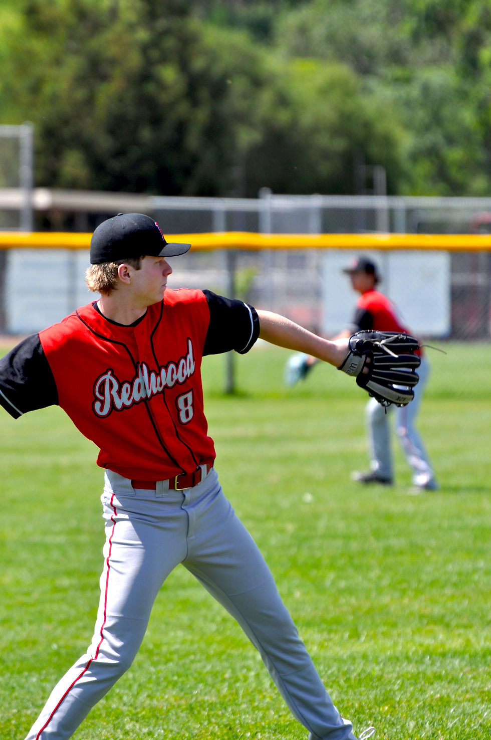 Redwood Logo Big_edited_edited.jpg