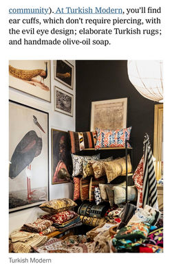 Turkish Modern featured in the New York Times