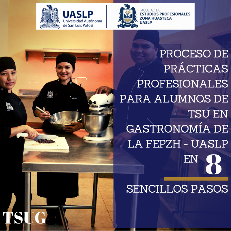 PROCESO_DE_PRÃCTICAS_PROFESIONALES