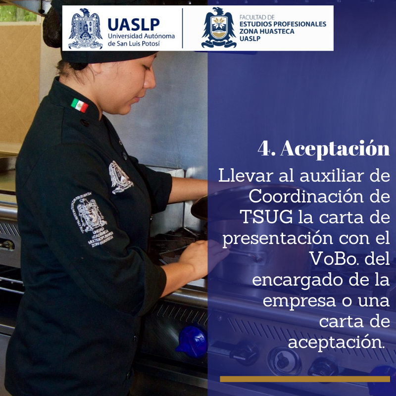 PROCESO_DE_PRÃCTICAS_PROFESIONALES_(4).