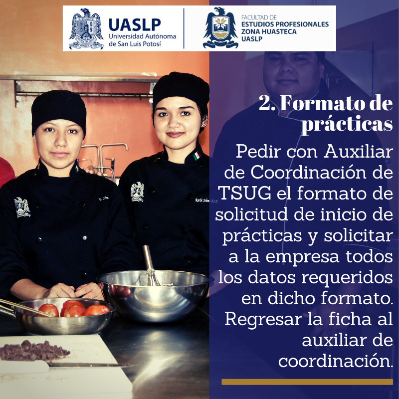 PROCESO_DE_PRÃCTICAS_PROFESIONALES_(2).