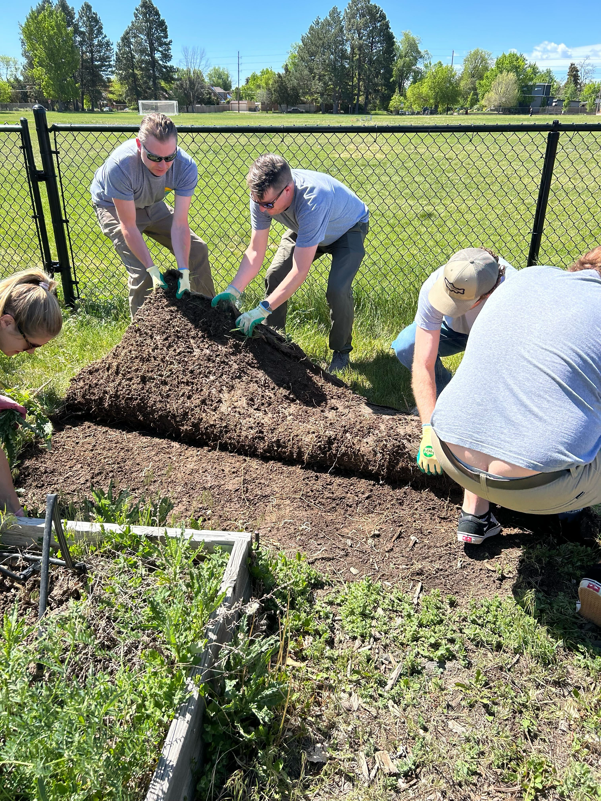 Pulling up sod to make way for wood chips