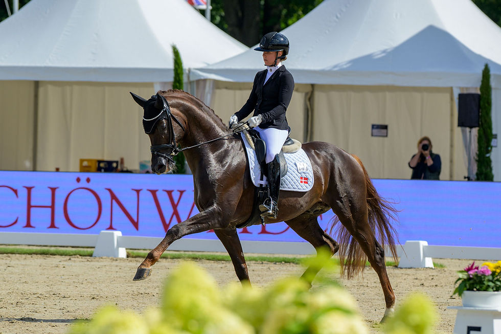 Foto: www.photo.equitaris.de / Becker