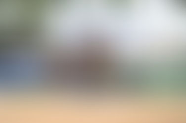 Munich-Riem: La Vie qualifies for the Burg Cup